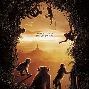 Photo Au Royaume des Singes