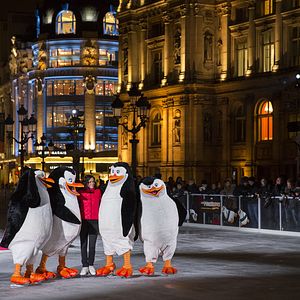 Photo Les Pingouins de Madagascar