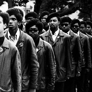 Photo The Black Panthers: Vanguard of the Revolution