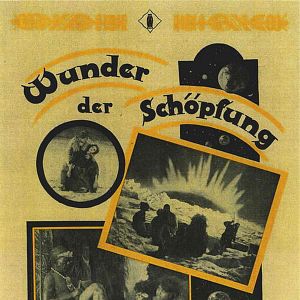 Photo Wunder der Schöpfung