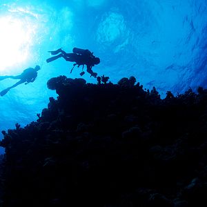 Photo Mission Blue