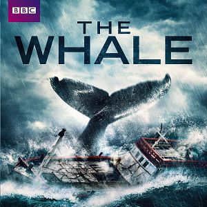 Photo The Whale