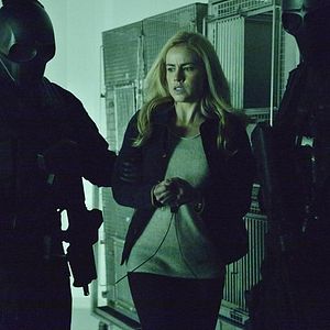 Photo Amanda Schull