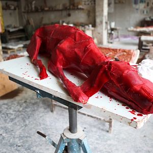 Photo Il Gesto Delle Mani