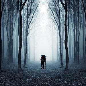 Photo Compostelle, le chemin de la vie