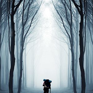 Photo Compostelle, le chemin de la vie