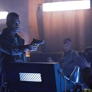 Photo 12 Monkeys