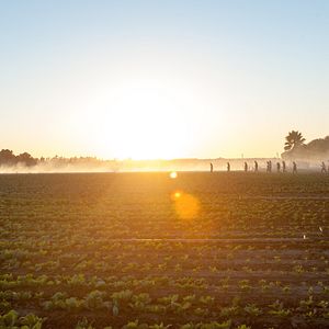 Photo McFarland, USA