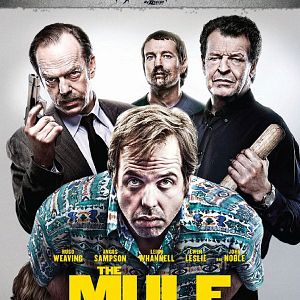 Photo The Mule