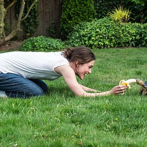 Photo Keira Knightley