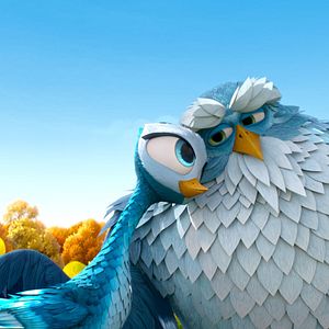 Photo Gus petit oiseau, grand voyage