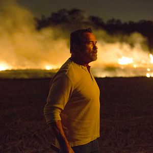 Photo Arnold Schwarzenegger