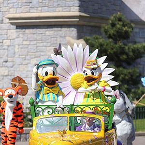 Photo Daisy