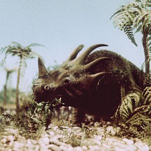 Photo Voyage dans la préhistoire