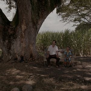 Photo La Terre et l'ombre