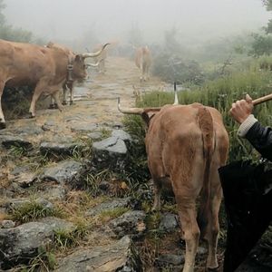 Photo Volta à Terra
