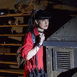 Photo Pauley Perrette