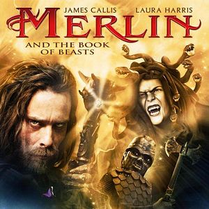 Photo Merlin et le livre des sorts