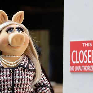 Photo The Muppets