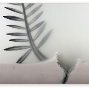 Photo La Légende de la Palme d’or