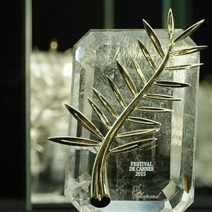 Photo La Légende de la Palme d’or