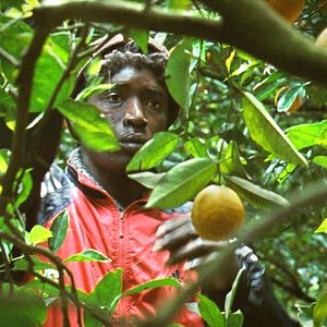 Photo Koudous Seihon