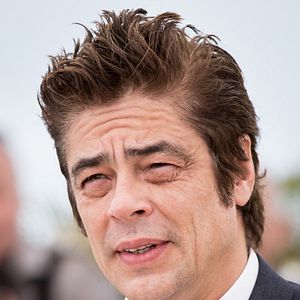 Photo Benicio Del Toro
