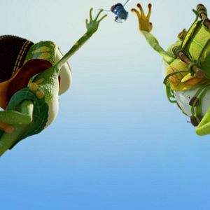 Photo Frog Kingdom