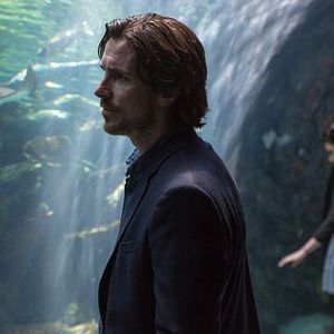 Photo Knight of Cups