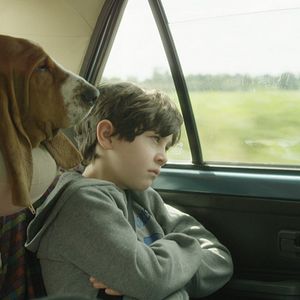 Photo Camille Loubens