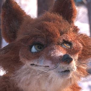 Photo Les Fables de Monsieur Renard