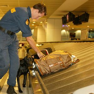 Photo Opération trafics