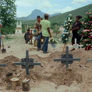 Photo Cartel Land