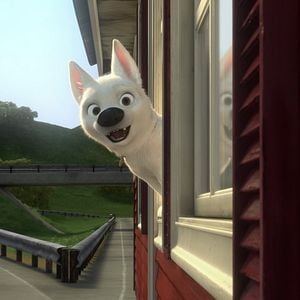 Photo Volt, star malgré lui