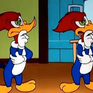 Photo Woody Woodpecker