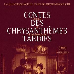 Photo Contes des chrysanthèmes tardifs