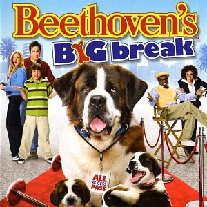 Photo Beethoven: une star est née
