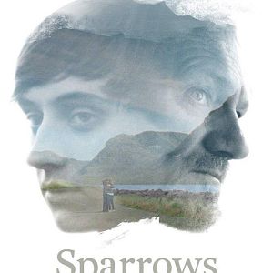 Photo Sparrows
