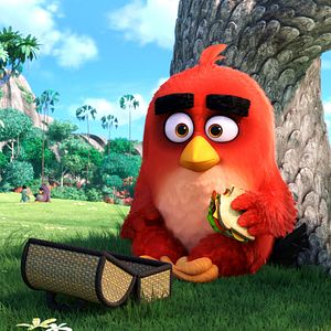 Photo Angry Birds - Le Film