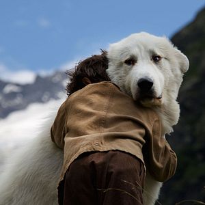 Photo Belle et Sébastien : L'aventure continue