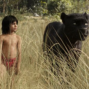 Photo Neel Sethi