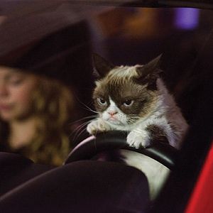 Photo Joyeux Noël Grumpy Cat