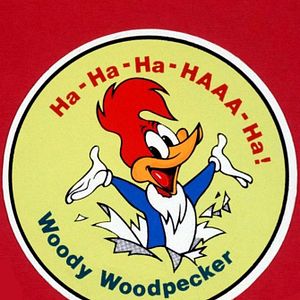 Photo Woody Woodpecker