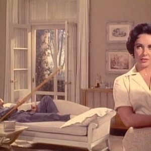 Photo La Chatte sur un toit brûlant