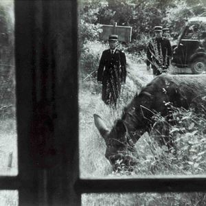 Photo Au hasard Balthazar