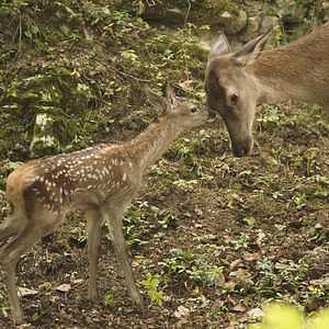 Photo Les Saisons
