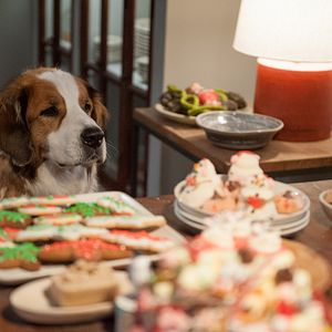 Photo Noël chez les Cooper