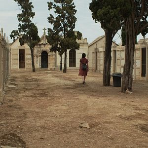 Photo Stephanie Petrowitz
