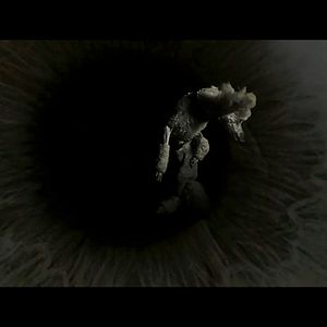 Photo The Visit - une rencontre extraterrestre