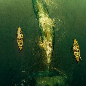 Photo Au coeur de l'Océan